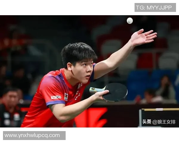 2023年空手道世界杯精彩赛果回顾与精彩瞬间盘点